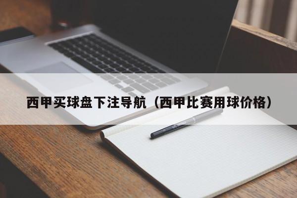 西甲买球盘下注导航（西甲比赛用球价格）