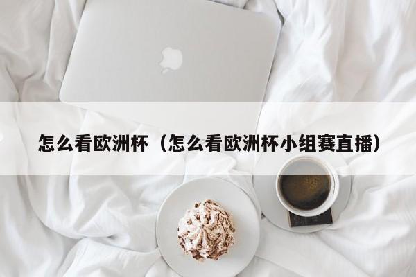 怎么看欧洲杯（怎么看欧洲杯小组赛直播）