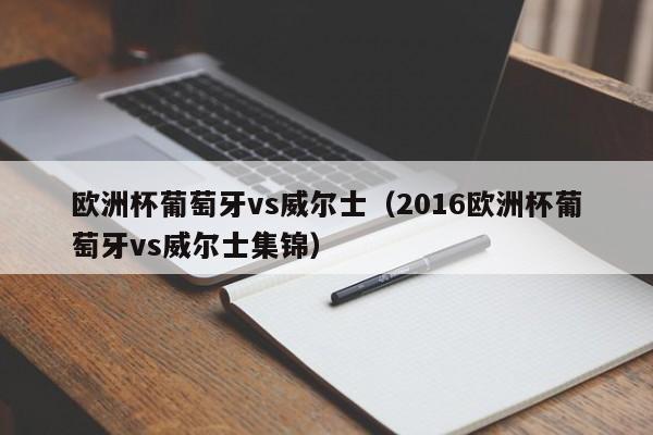 欧洲杯葡萄牙vs威尔士（2016欧洲杯葡萄牙vs威尔士集锦）