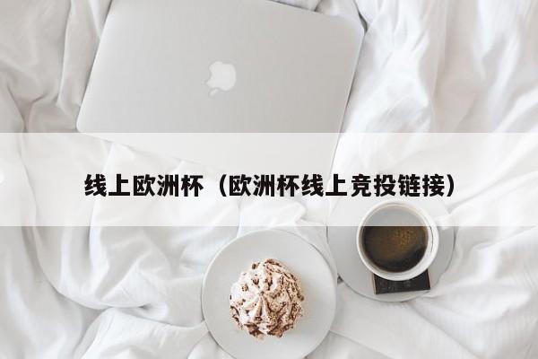 线上欧洲杯（欧洲杯线上竞投链接）